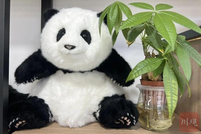 ！千亿级大市场怎么争取能摆龙门阵的熊猫来了(图3)